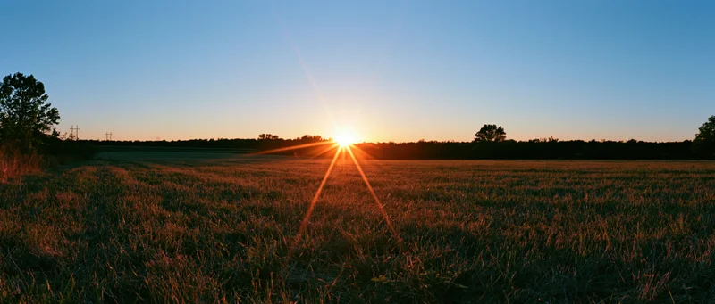 Sun setting over an open grass field with horizon line and scattered trees