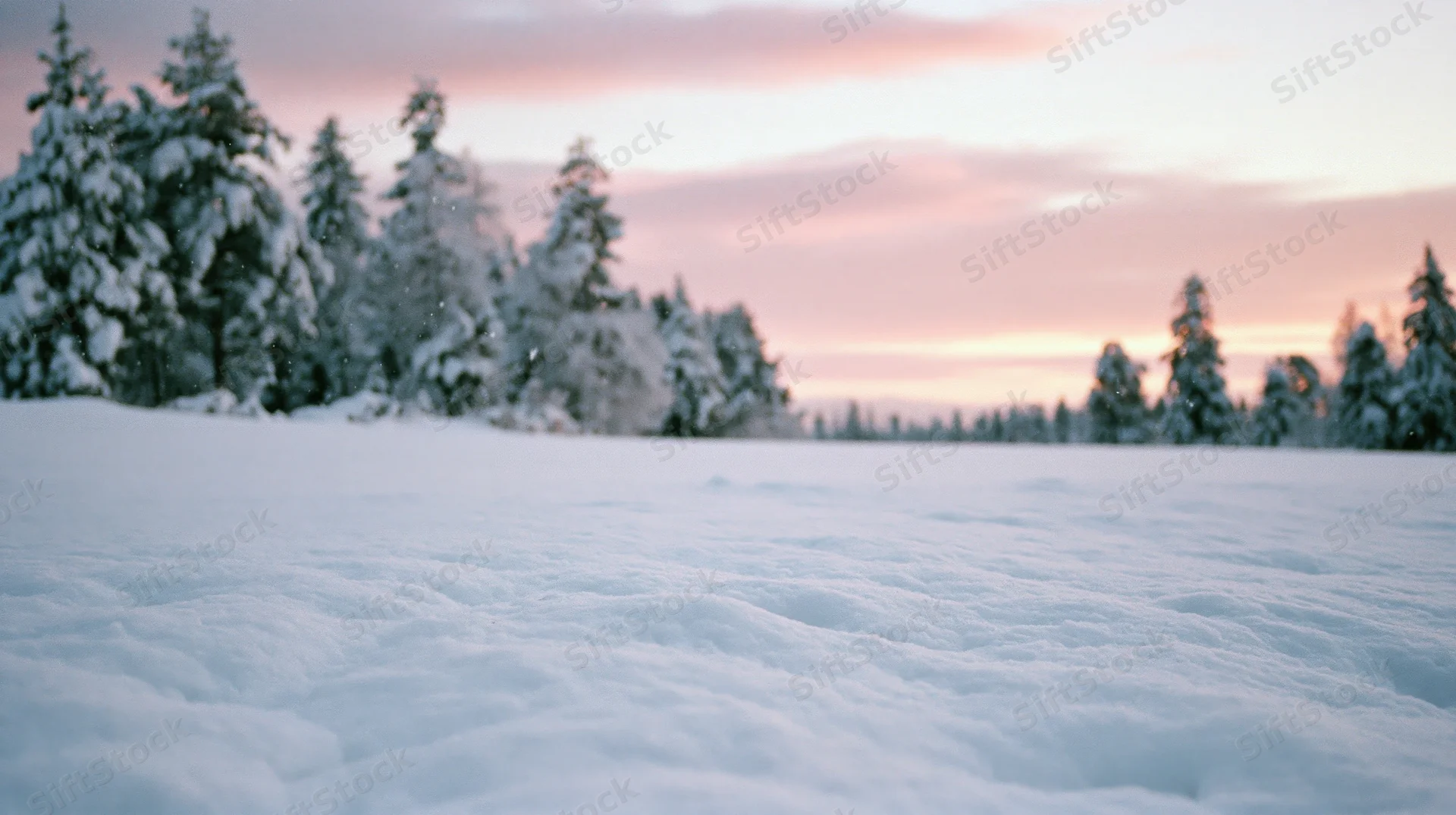 Snow-covered field with snowflakes falling gently at twilight under pink sky with evergreen trees in background