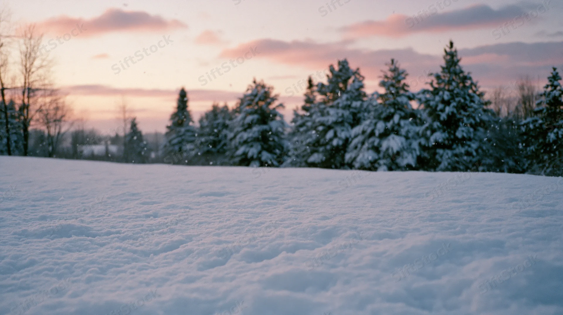 Snow-covered field with snowflakes falling gently at twilight under pink sky with evergreen trees in background