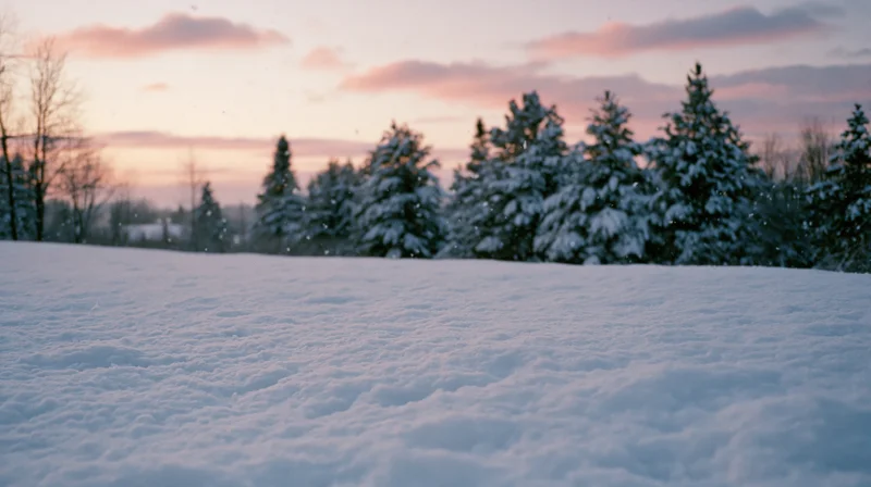 Snow-covered field with snowflakes falling gently at twilight under pink sky with evergreen trees in background