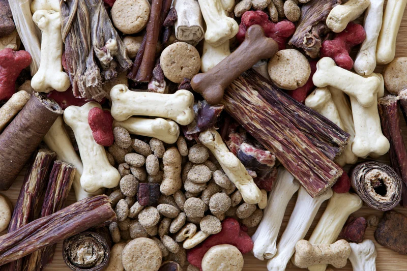 Overhead flat lay of assorted dog treats and pet snacks on wooden surface