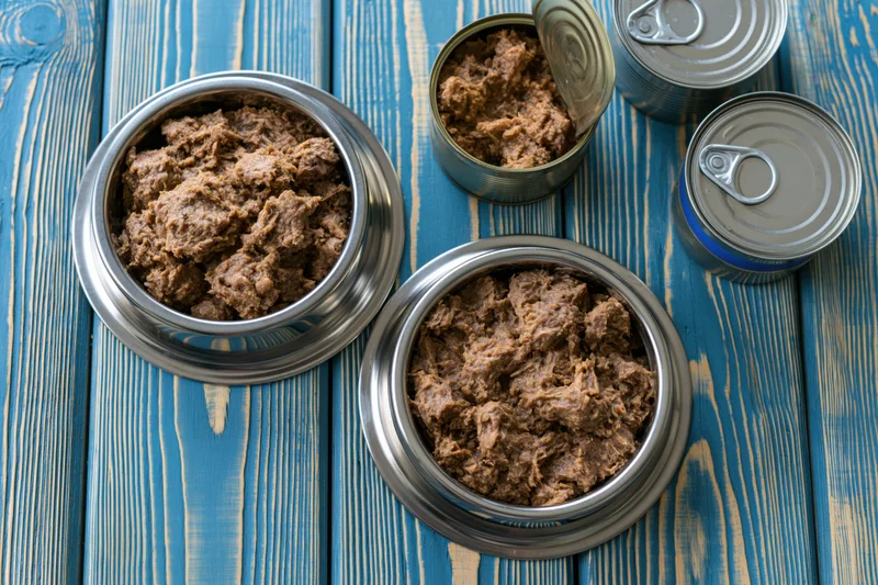 Two stainless steel pet food bowls filled with canned pet food on a blue wooden surface