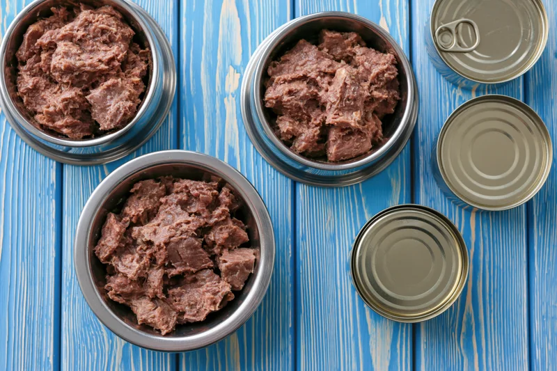 Three stainless steel bowls filled with canned pet food arranged on a blue wooden surface with open cans beside them