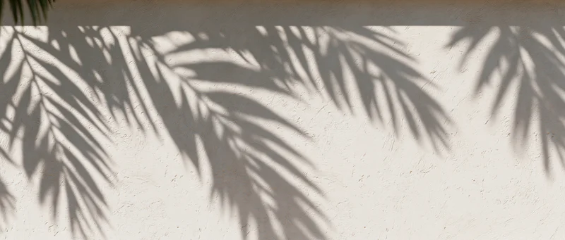 Palm leaf shadows cast across a textured off-white plaster wall outdoors