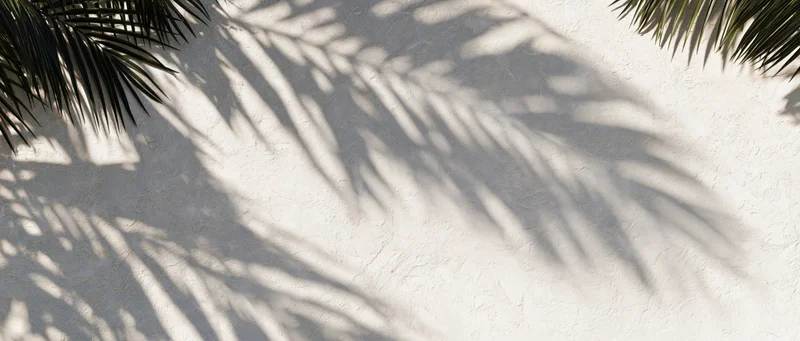 Palm leaf shadows cast across a textured off-white plaster wall in bright sunlight