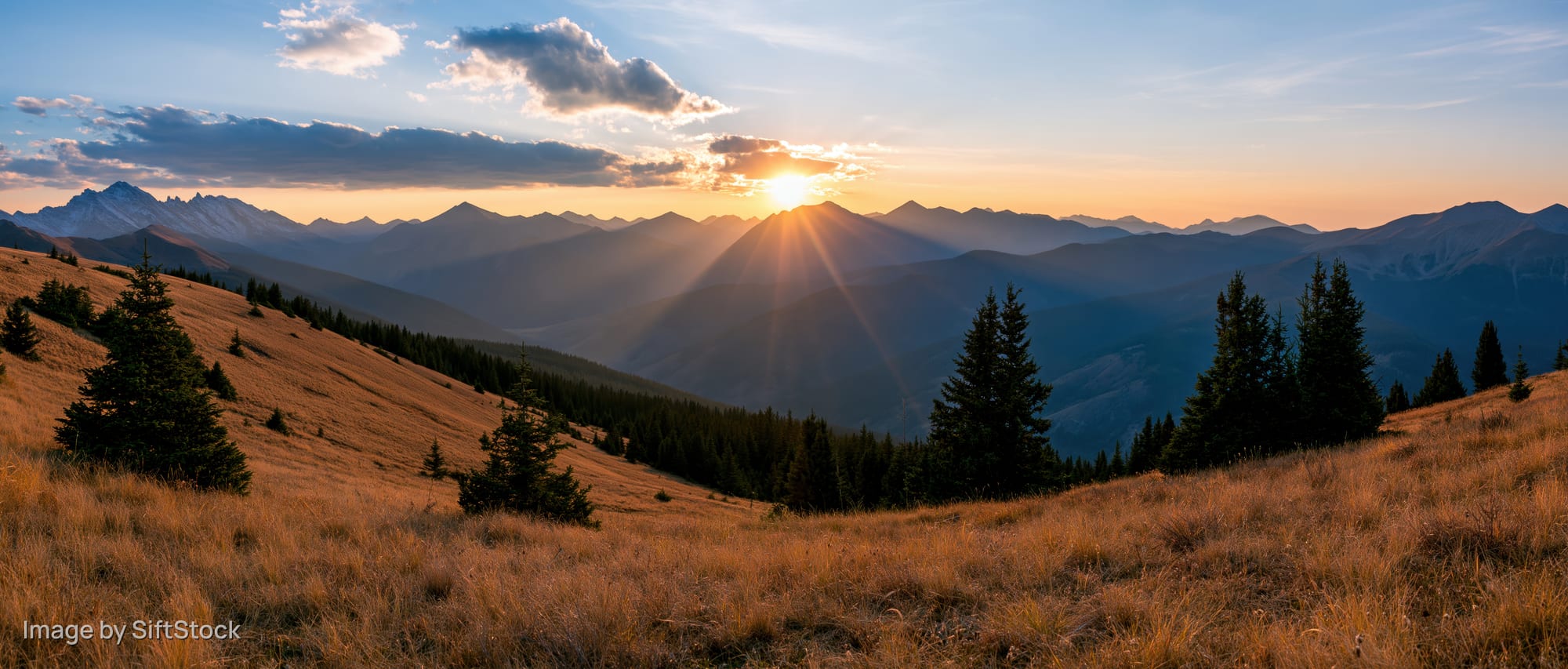 Panoramic alpine landscape at golden hour sunset with layered mountains and pine trees on grassy slopes
