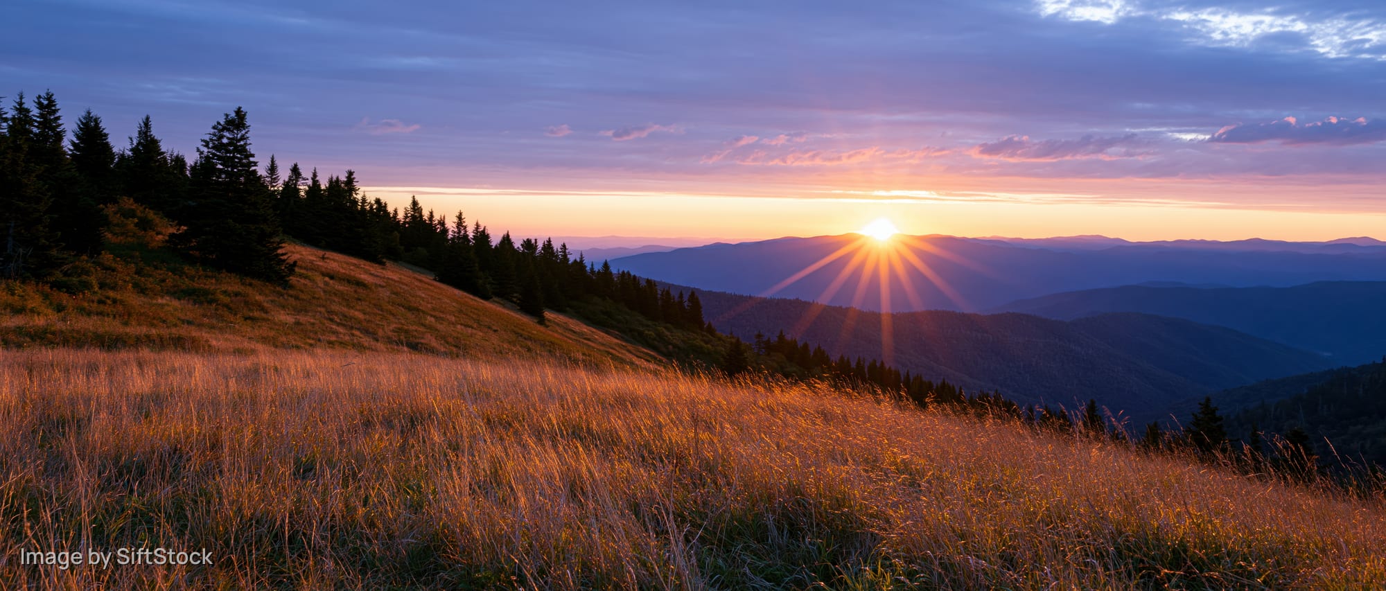 Golden sunset over mountain meadow with sunburst rays and pine trees on a grassy slope