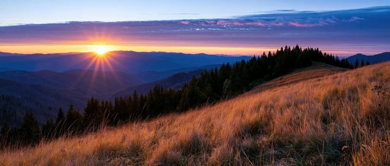 Golden sunset over mountain meadow with sunburst rays and pine forest in valley below
