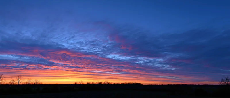 Panoramic sunset sky over a dark silhouetted treeline horizon