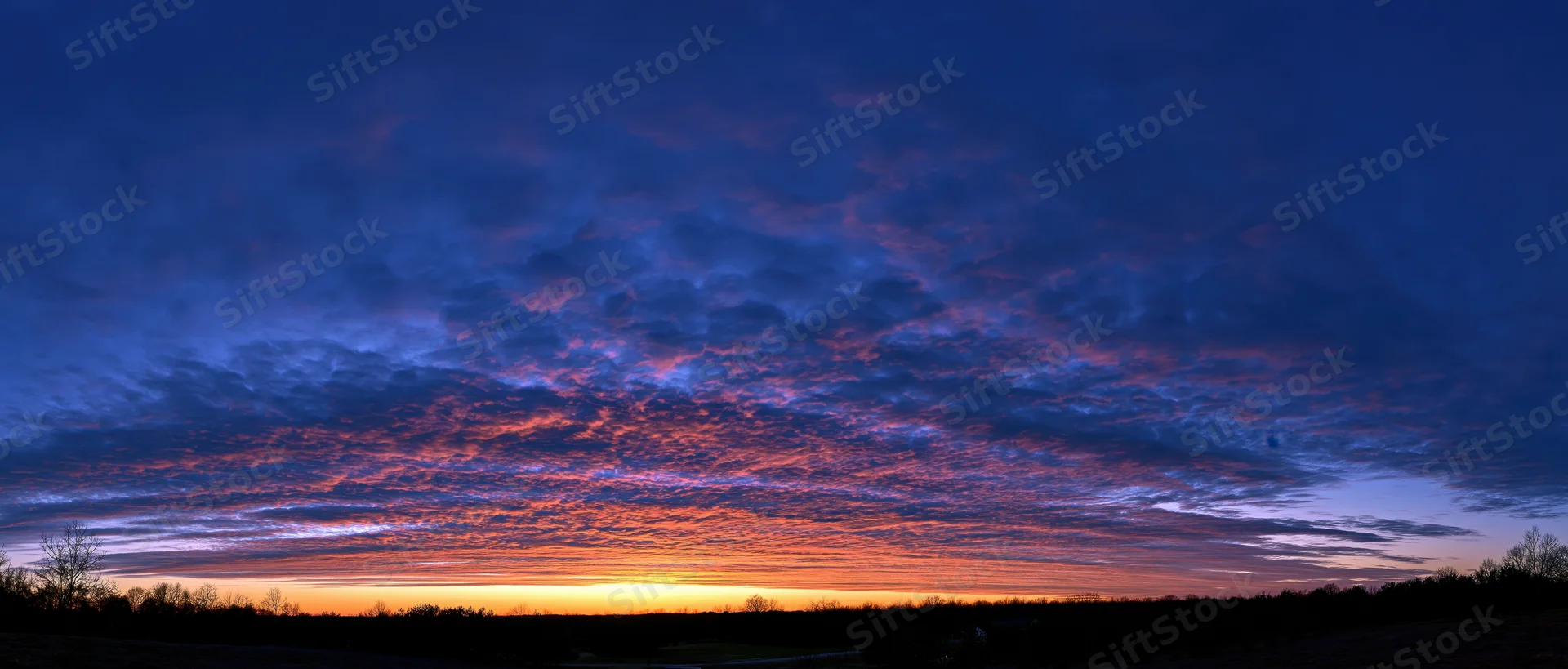 Panoramic sunset sky over a dark silhouetted treeline horizon