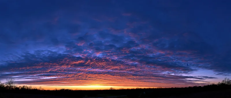 Panoramic sunset sky over a dark silhouetted treeline horizon