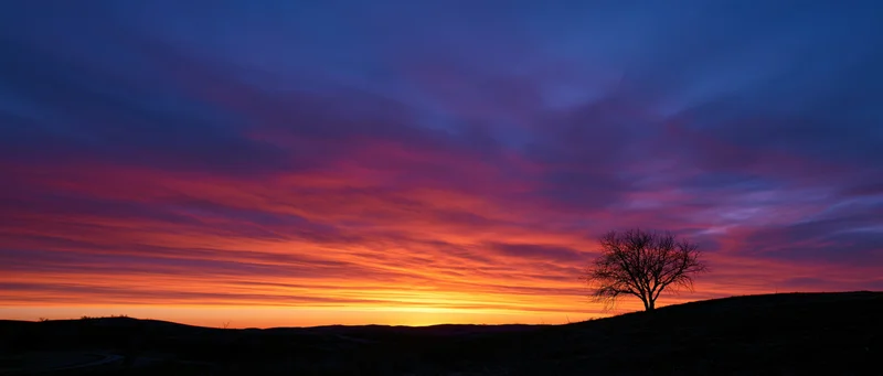 Panoramic sunset sky over rolling hills with dramatic clouds and a silhouetted tree