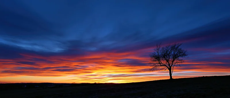 Panoramic sunset sky over rolling hills with dramatic clouds and a lone tree silhouette