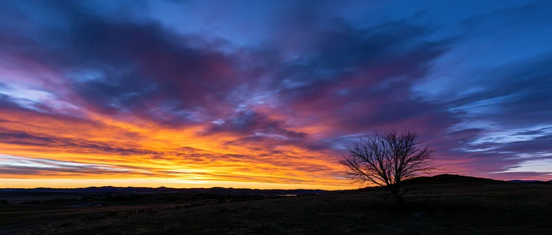 Panoramic sunset sky over rolling hills with dramatic clouds and a bare tree silhouette