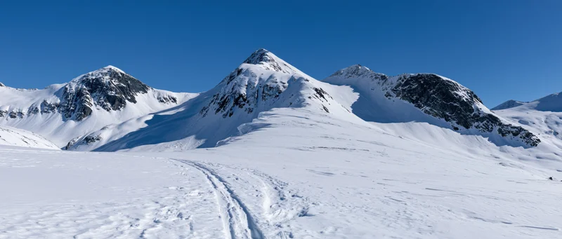 Snow-covered alpine peaks rising above a wide valley with ski tracks in the foreground under a clear blue sky