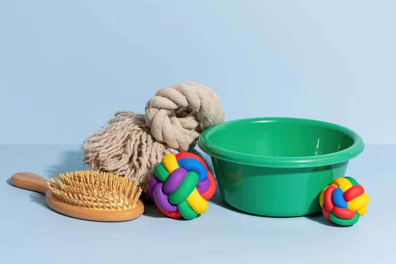 Pet accessories including a green bowl, colorful rope toys, and a wooden pin brush arranged on a light blue surface