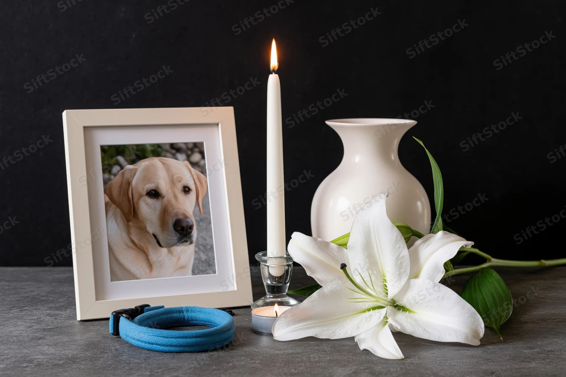Framed photo of a dog beside a lit candle, white lily, and blue collar on a dark surface