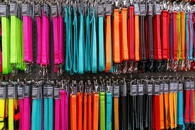 Rows of colorful dog leashes hanging on a pegboard display wall in a pet store