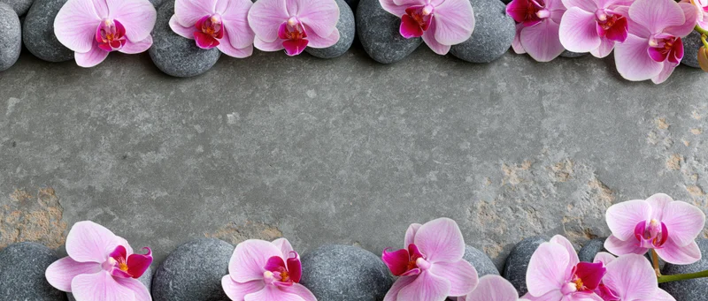Pink phalaenopsis orchid blooms and smooth grey river stones arranged in a border on a concrete surface