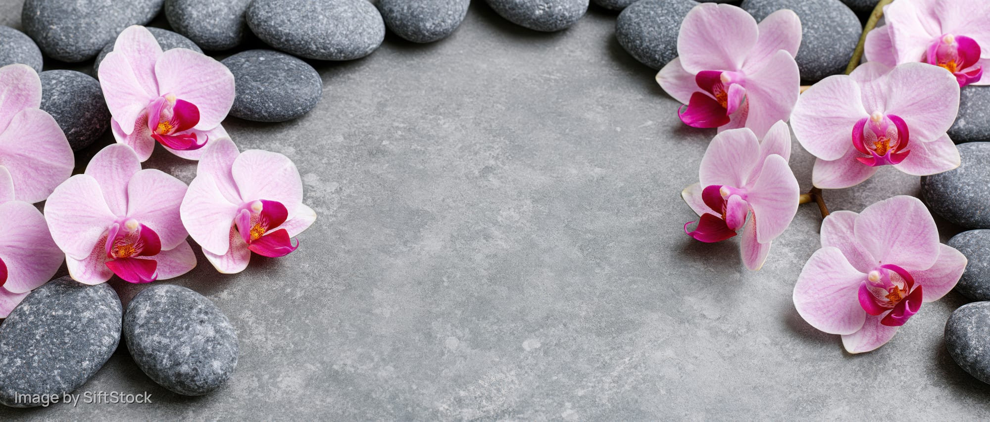 Pink phalaenopsis orchid blooms and smooth grey river stones arranged on a concrete surface with central copyspace