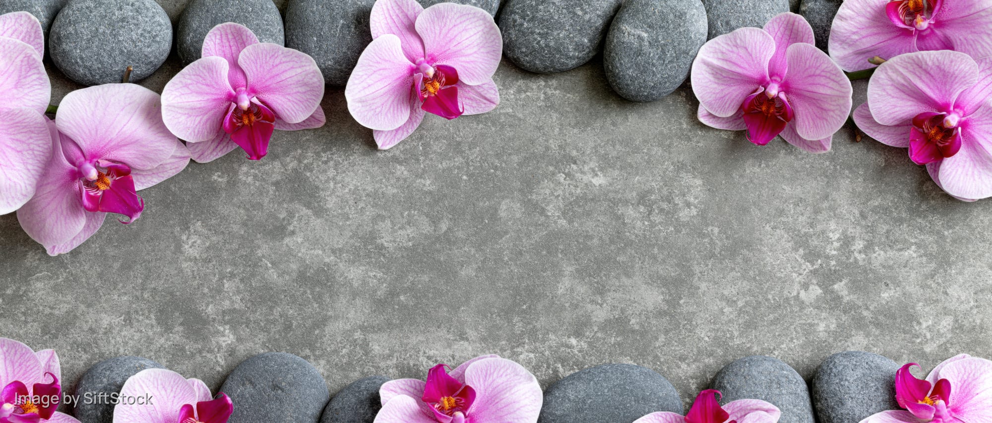 Pink phalaenopsis orchid blooms and smooth grey river stones arranged in a border on a concrete surface