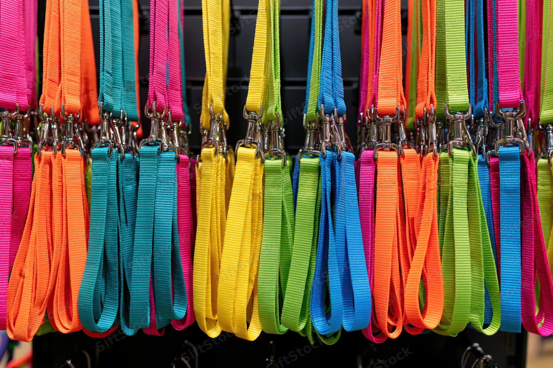 Rows of colorful dog leashes hanging on a black rack in a retail display