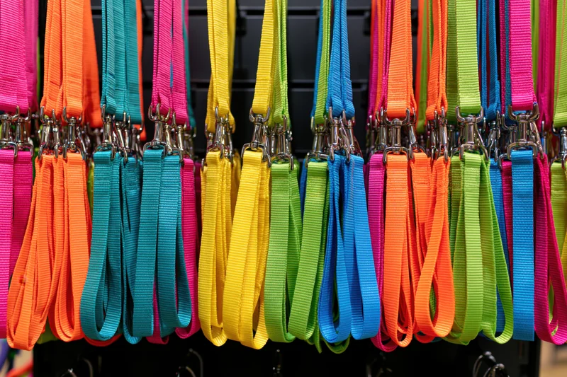 Rows of colorful dog leashes hanging on a black rack in a retail display