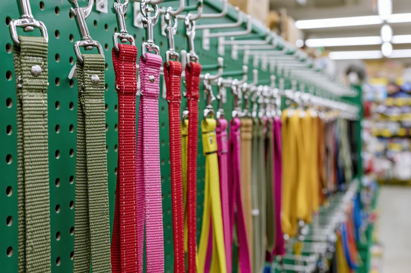 Rows of colorful dog leashes hanging on a green pegboard in a pet store aisle