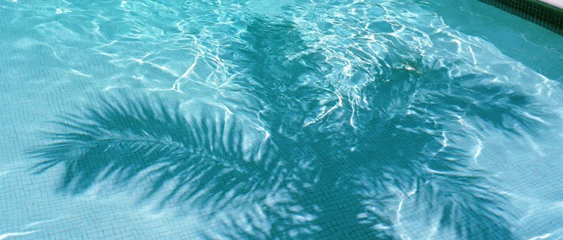 Shadow of a palm frond on the tiled bottom of a swimming pool under sunlight