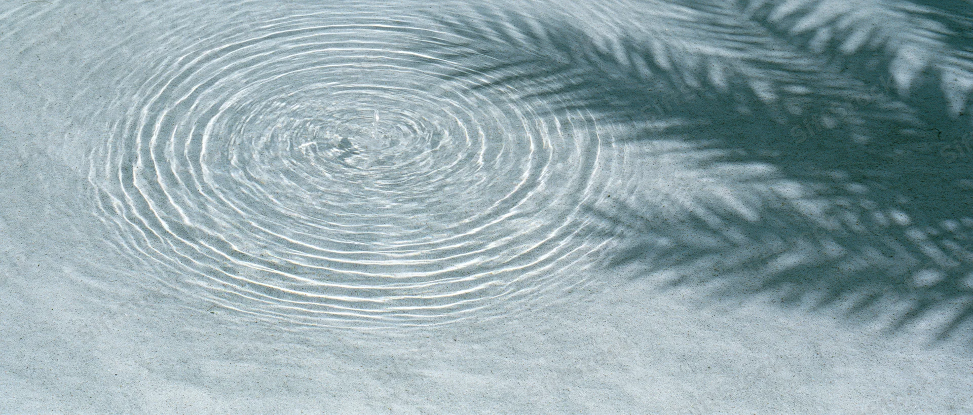 Concentric ripples spreading across shallow clear water surface with pine tree shadow cast across it