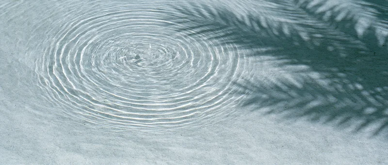Concentric ripples spreading across shallow clear water surface with pine tree shadow cast across it
