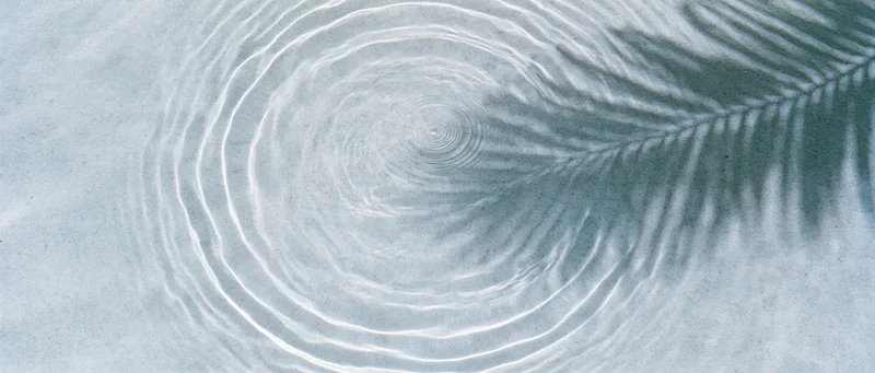 Overhead view of concentric ripples spreading across shallow clear water surface