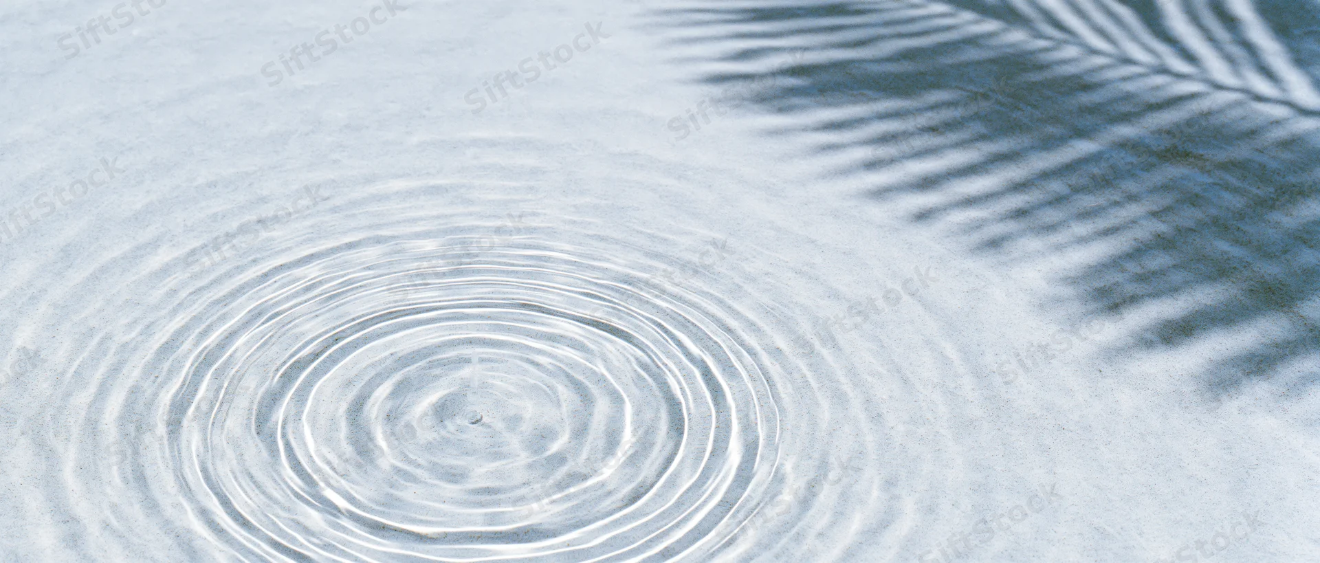 Concentric ripples spreading across shallow clear water surface with palm leaf shadow on right