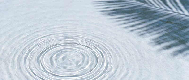 Concentric ripples spreading across shallow clear water surface with palm leaf shadow on right