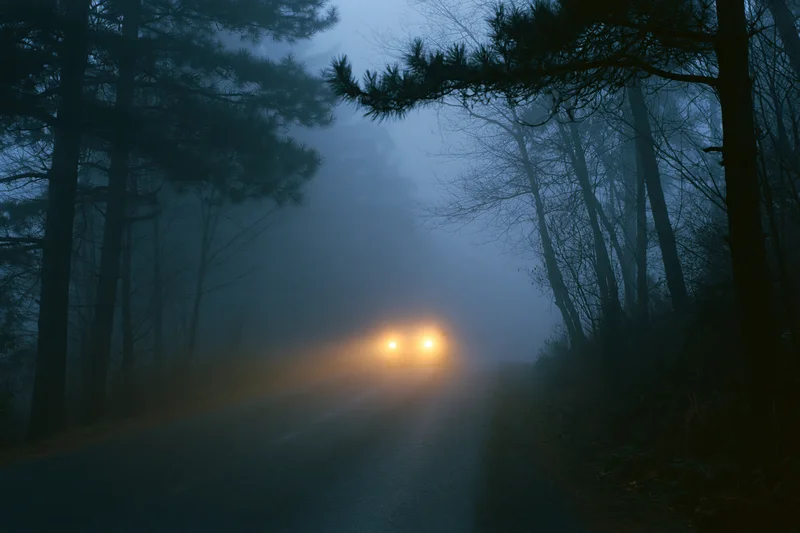 Car approaching on narrow foggy country road at dusk through forest