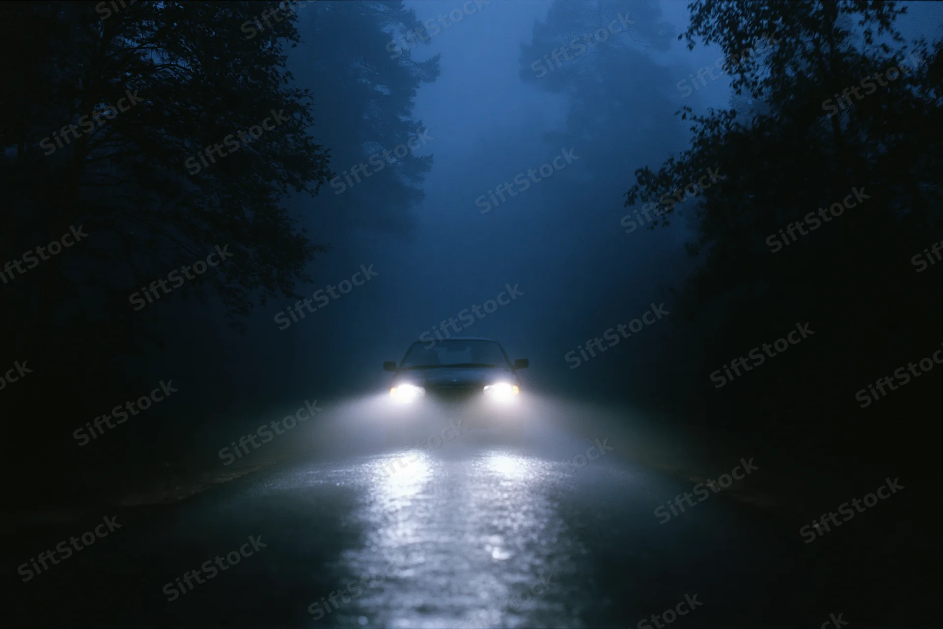 Car driving toward camera on narrow forest road at night with headlights cutting through fog and wet pavement