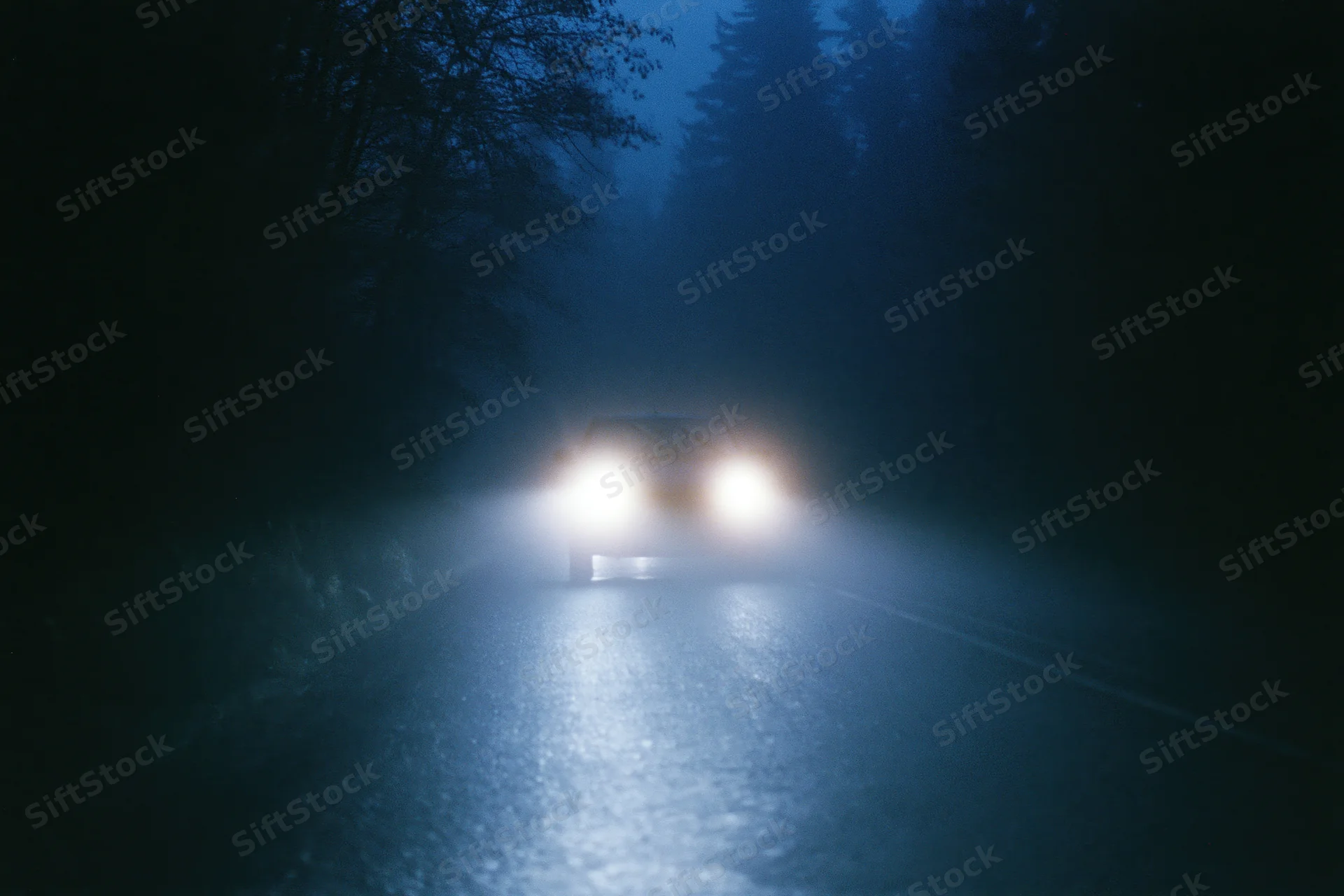 Car driving toward camera on narrow forest road at night with headlights cutting through fog and wet pavement