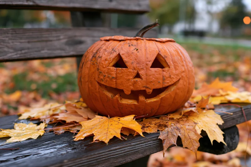 Carved pumpkin with triangular eyes and grin resting on a wooden bench surrounded by fallen maple leaves