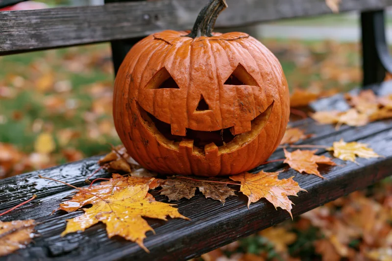Carved pumpkin with triangular eyes and toothy grin resting on a weathered wooden bench surrounded by fallen maple leaves