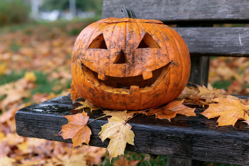 Carved pumpkin with triangular eyes and wide grin resting on a weathered wooden bench surrounded by fallen autumn leaves