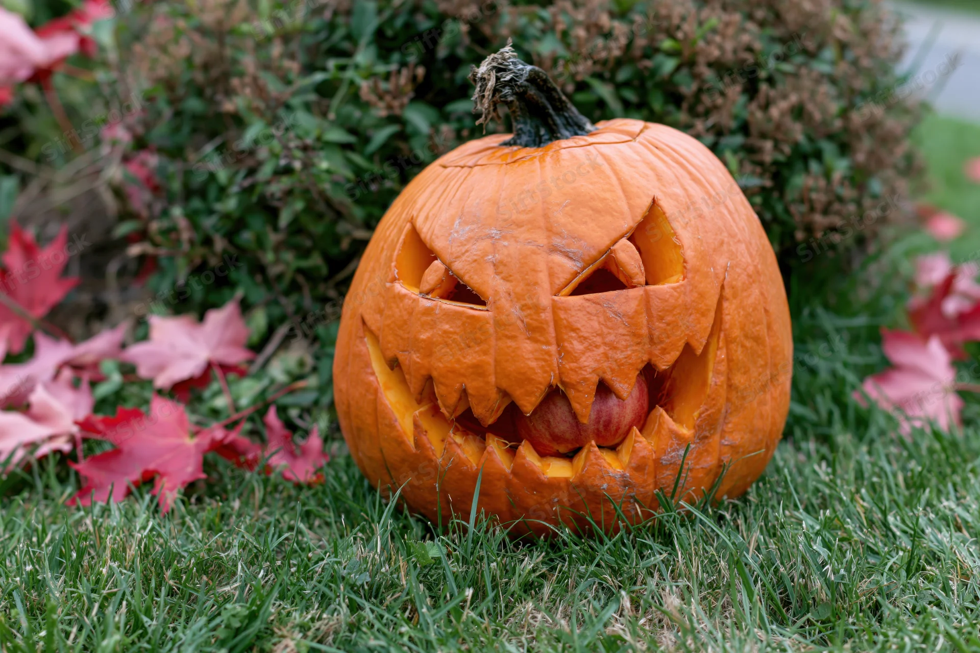 Carved pumpkin with jagged face sitting on green grass surrounded by red autumn leaves