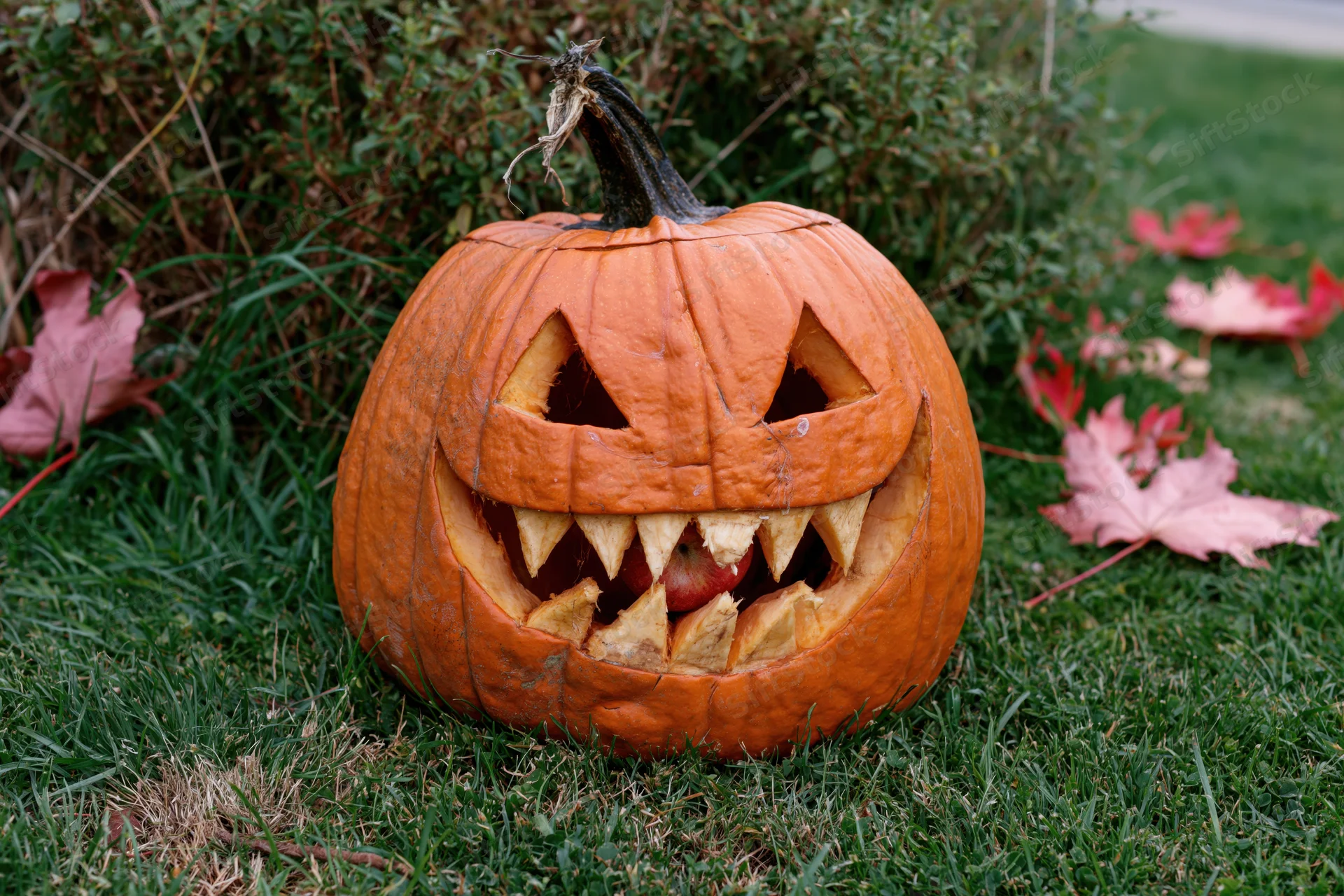 Carved pumpkin with jagged teeth and triangular eyes sitting on green grass surrounded by fallen leaves