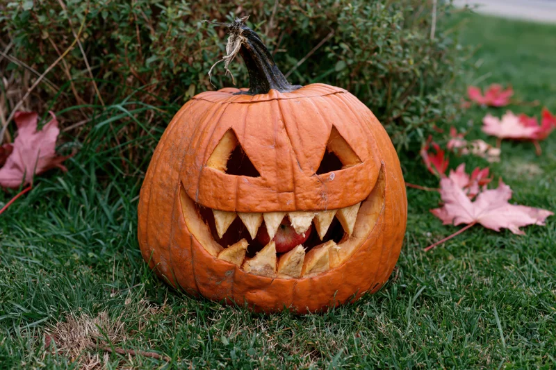 Carved pumpkin with jagged teeth and triangular eyes sitting on green grass surrounded by fallen leaves