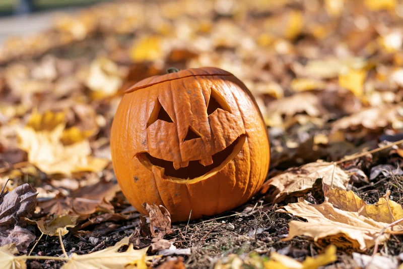 Carved pumpkin with smiling face resting on ground covered in autumn leaves