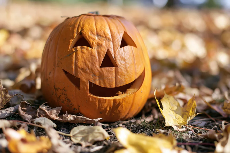 Carved pumpkin with smiling face resting on ground covered in fallen autumn leaves