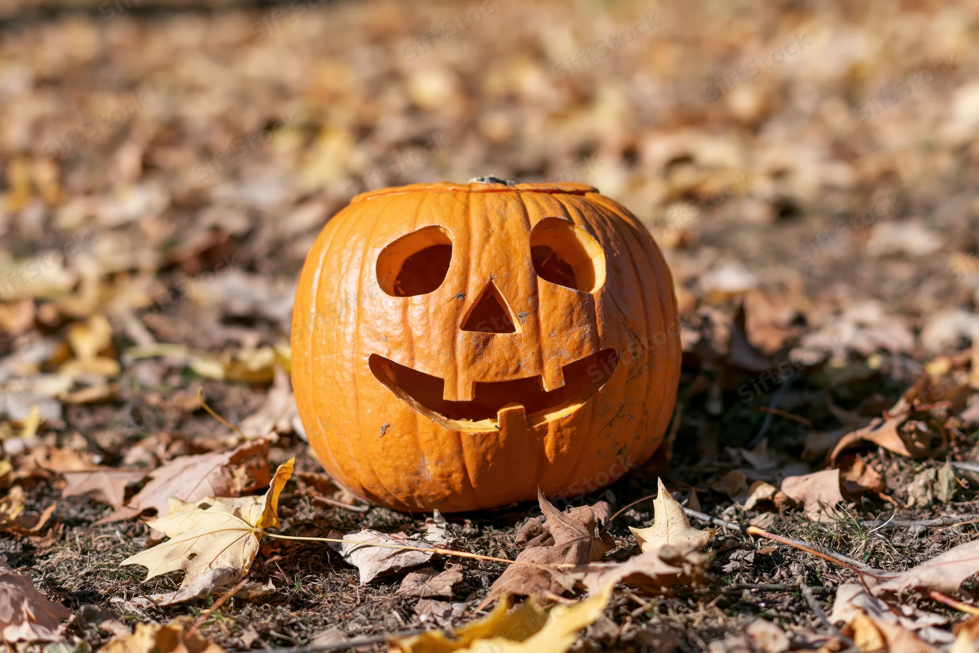 Carved pumpkin with smiling face on ground covered in fallen autumn leaves