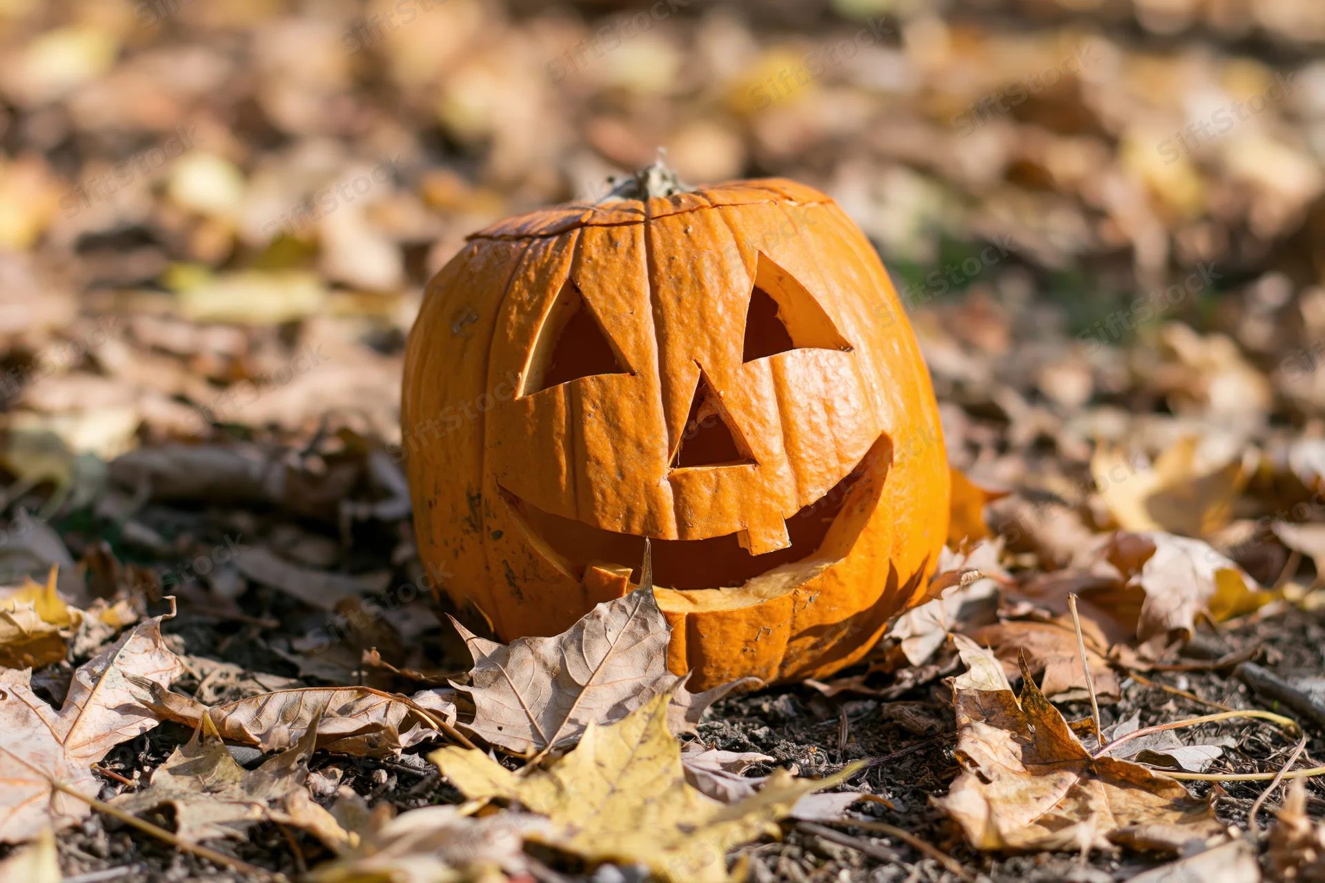 Carved pumpkin with smiling face resting on ground covered in fallen autumn leaves