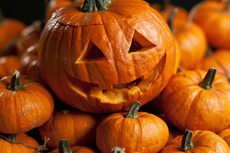 Carved jack-o-lantern with grinning face nestled among a pile of pumpkins