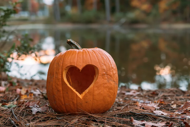 Carved pumpkin with heart-shaped cutout resting on forest ground near a lake