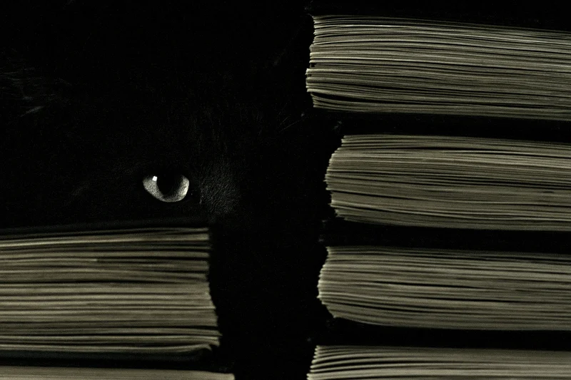 Cat's glowing eye peeking through gap between stacked books on shelf